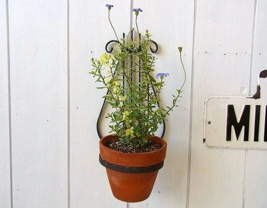 【アイアン製】アンティーク・ウォールプランター・ガーデニング・USA