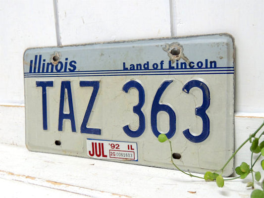 【イリノイ州】TAZ 363・ヴィンテージ・ナンバープレート・カーライセンスプレー・アメ車