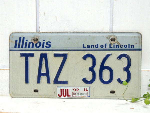 【イリノイ州】TAZ 363・ヴィンテージ・ナンバープレート・カーライセンスプレー・アメ車