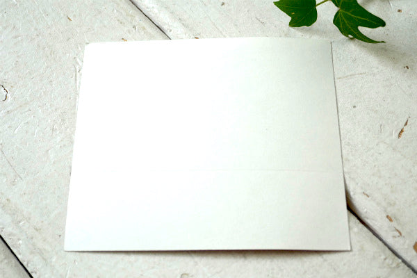 patagonia・パタゴニア Flying-Fish・フライング・フィッシュ BOWERY・NYC 限定・非売品・ステッカー