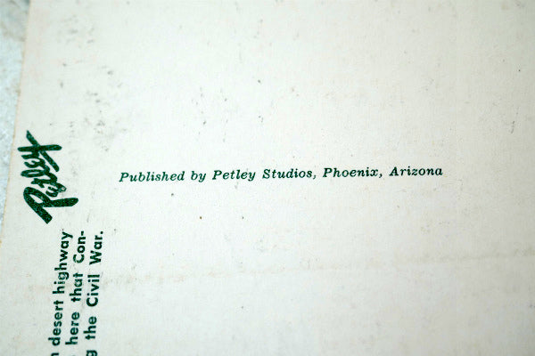 PICACHO PEAK ピカチョピーク アリゾナ州 風景 写真 サボテン ヴィンテージ ポストカード ハガキ・絵葉書・印刷物