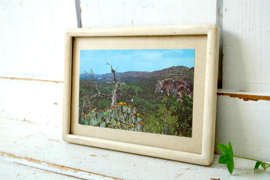 テキサス Texas Country 風景 写真 サボテン ヴィンテージ ポストカード ハガキ 絵葉書 印刷物