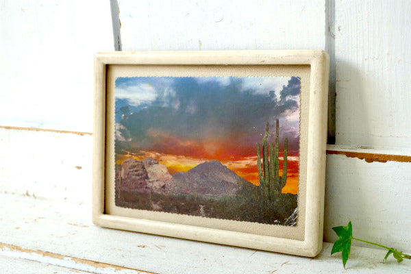 アリゾナ スコッツデール 日の出 サンライズ サボテン ヴィンテージ・ポストカード ハガキ・絵葉書・印刷物