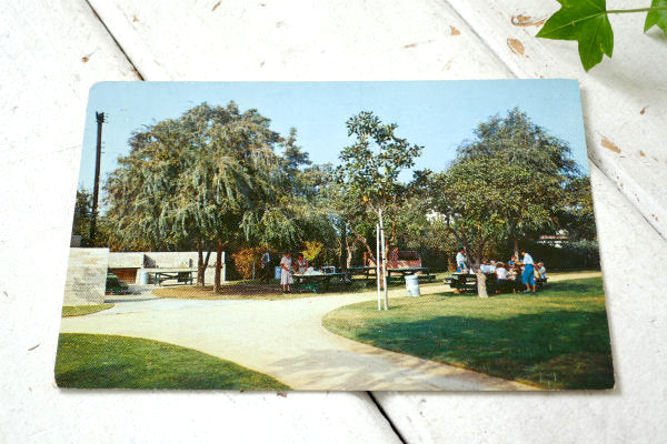 LA HABRA カリフォルニア ロサンゼルス 1960~1970s 当時 ピクニック 風景 写真 ヴィンテージ・ポストカード ハガキ・絵葉書・印刷物