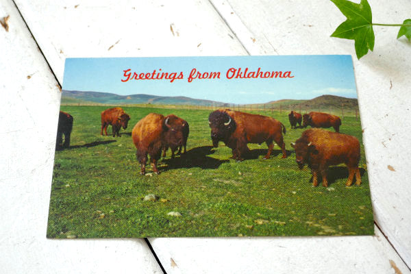 1968's オクラホマ州 OKLAHOMA BUFFALO バッファロー 風景 写真 ・ヴィンテージ・ポストカード ハガキ・絵葉書・印刷物