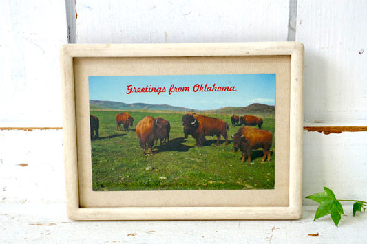 1968's オクラホマ州 OKLAHOMA BUFFALO バッファロー 風景 写真 ・ヴィンテージ・ポストカード ハガキ・絵葉書・印刷物