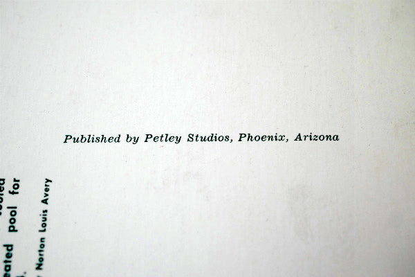 AAA トリプルエー LA MESITA LODGE 1950~1960s アリゾナ州  アメ車 当時   星条旗 フラッグ 風景 写真 ・ヴィンテージ・ポストカード ハガキ・絵葉書・印刷物