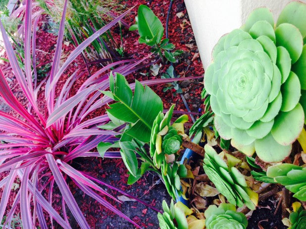 ガーデニング雑貨で 癒しのお庭空間を！　アンティーク＆ヴィンテージ