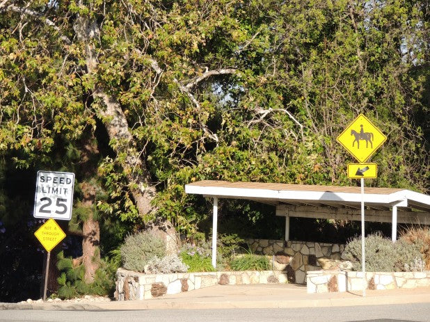 アメリカ本土へ上陸！ロードトリップは写真撮るのが楽しいよね！　アンティーク雑貨＆ビンテージ生地、探しの旅のはじまりです。
