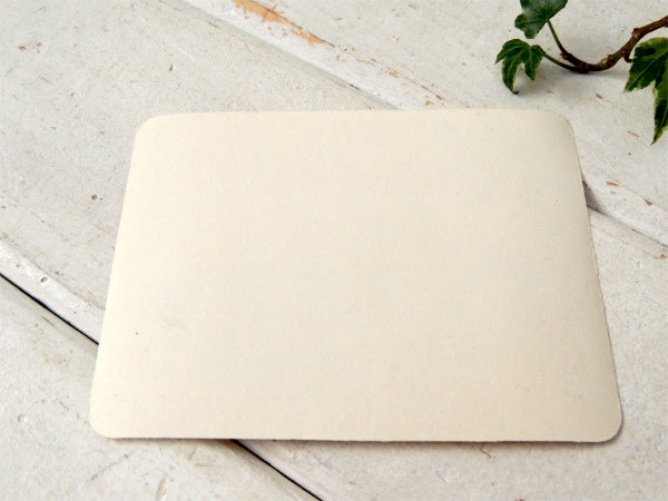 TRANS-AM ポンテアック トランザム アメ車　US チェッカー ビンテージ ステッカー ゼネラルモーターズ