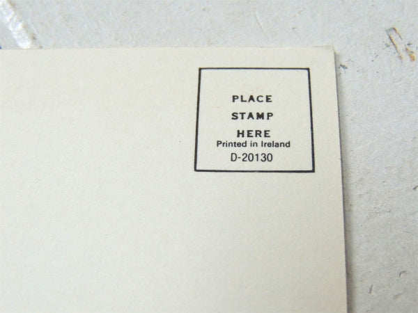 ENDO OF THE TRAIL・フェニックス・アリゾナ ヴィンテージ・ポストカード ハガキ・絵葉書・印刷物