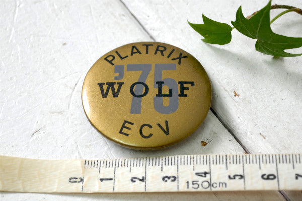 WOLF 1975's PLATRIX ECV ヴィンテージ 缶バッジ デッドストック 音楽 バンド ミュージック USA