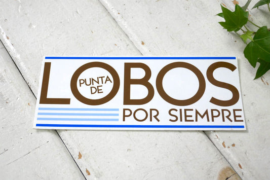 LOBOS POR SIEMPRE PUNTA DE 限定 ステッカー パタゴニア プント デ ロボス ポル シエンプレ