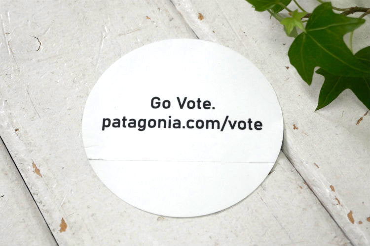 Vote the assholes out. 環境問題 地球環境 自然環境保護 メッセージ パタゴニア patagonia ステッカー カリフォルニア  USA