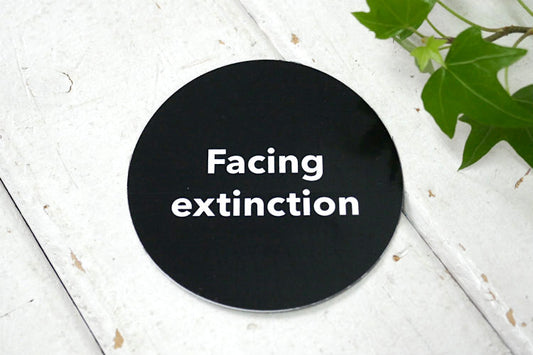 Facing extinction パタゴニア patagonia ステッカー 地球 環境 自然保護 カリフォルニア USA