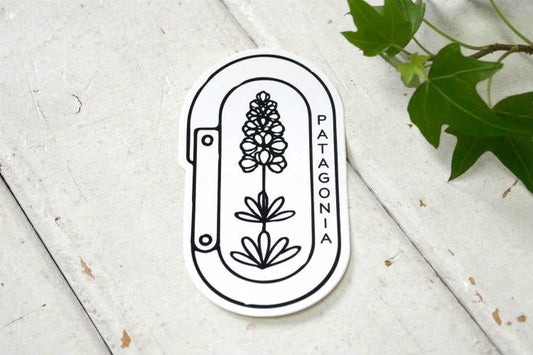 パタゴニア PATAGONIA Clean Climb Bloom クリーンクライムブルーム 花 ステッカー カリフォルニア USA アウトドアブランド