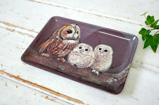 Pollyanna Pickering ポリアンナ ピカリング 幸せの鳥 フクロウ親子 アーティスト イタリア製 ヴィンテージ トレイ