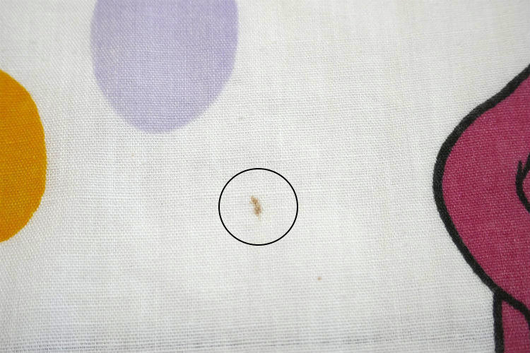 Barney & Friends バーニー&フレンズ 恐竜柄 ユーズドシーツ キャラクターシーツ(フラットタイプ) USA