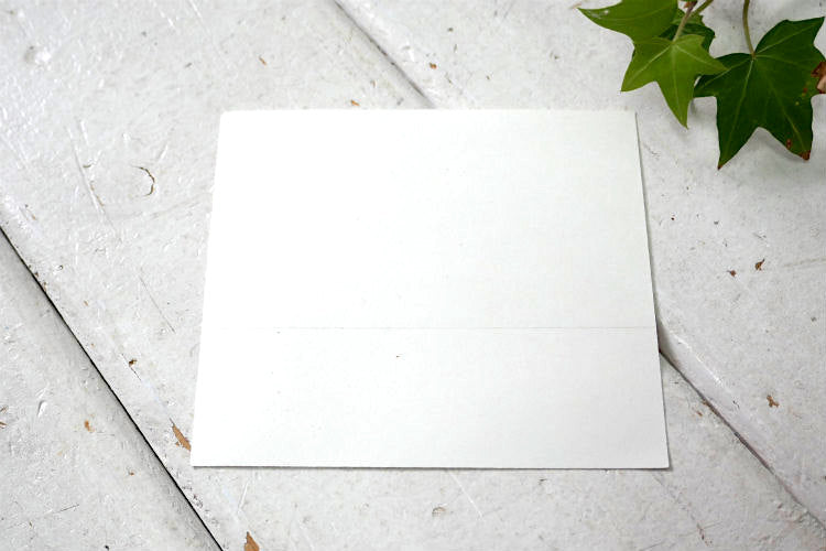 パタゴニア フライングフィッシュ patagonia ハワイ ノースショア ハレイワ限定 ステッカー サーフィン ジェフ・マクフェトリッジ