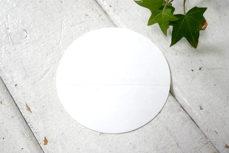 patagonia パタゴニア Flying-Fish フライングフィッシュ ステッカー カリフォルニア  USA