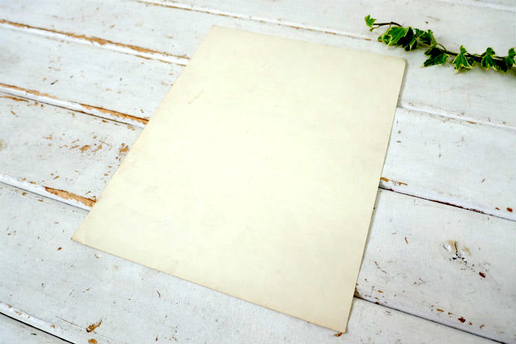 UNITED STATES OF AMERICA DEPARTMENT OF THE NAVY 1958 ヴィンテージ 三等無線士 米軍放出品任命 辞令書 ミリタリー 海軍 USA 印刷物