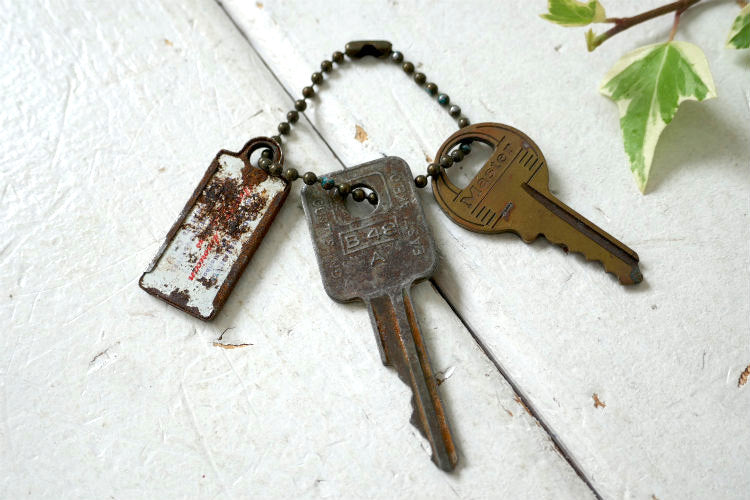 GM ゼネラルモーターズ 1966's イリノイ州 ナンバープレート型 ヴィンテージ キーホルダー 古鍵 2本付き アメ車 USA