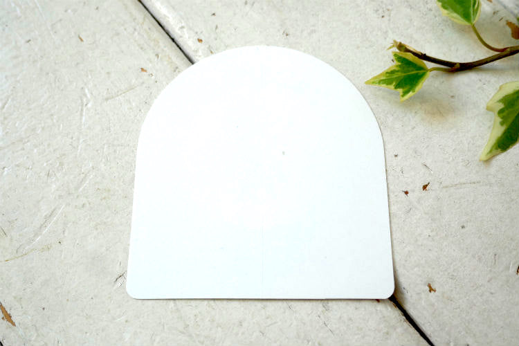 patagonia パタゴニア CARDIFF カーディフ Flying-Fish フライングフィッシュ ステッカー カリフォルニア USA