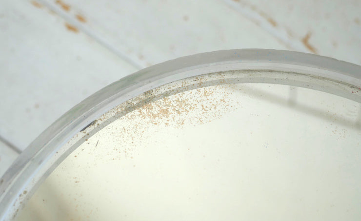 ミッドセンチュリー クリア 両面 50's ヴィンテージ ハンドミラー 手鏡 鏡 USA