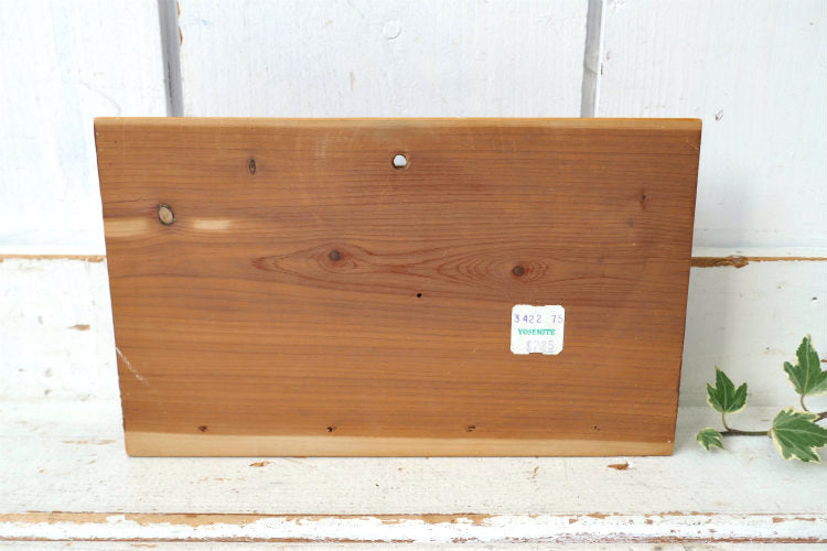 YOSEMITE ヨセミテ国立公園 木製 キーフック付き 壁掛け スーベニア品 70's ヴィンテージ レターラック レターホルダー  USA