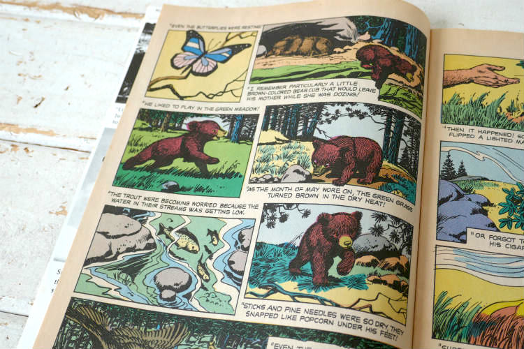 スモーキーベア 60's THE TRUE STORY OF SMOKEY BEAR クマ キャラクター ヴィンテージ コミック 絵本 USA