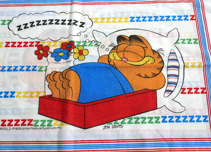 ガーフィールド Garfield アメコミ ZZZ 夢の中 ビンテージ USED ピローケース 枕カバー USA