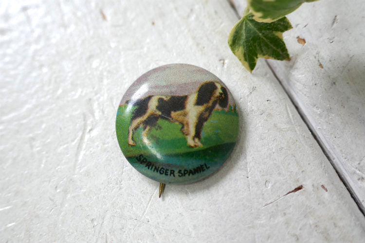 1930~1940y イングリッシュ・スプリンガー・スパニエル 愛犬 SPRING SPANIEL Dog  アンティーク＆ヴィンテージ 缶バッジ  USA デッドストック