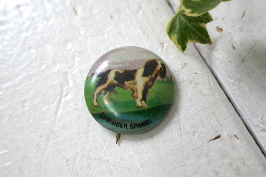 1930~1940y イングリッシュ・スプリンガー・スパニエル 愛犬 SPRING SPANIEL Dog  アンティーク＆ヴィンテージ 缶バッジ  USA デッドストック