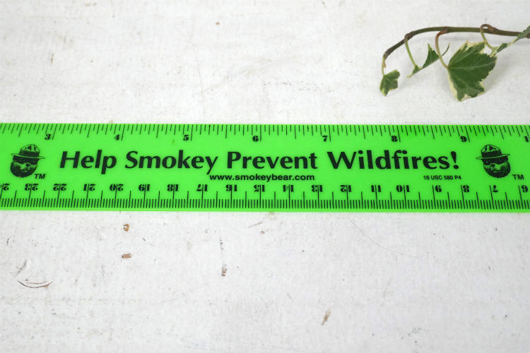 Help Smokey Prevent Wildfires! スモーキーベア 当時モノ ヴィンテージ 文房具 ルーラー 定規 企業キャラ 物差し