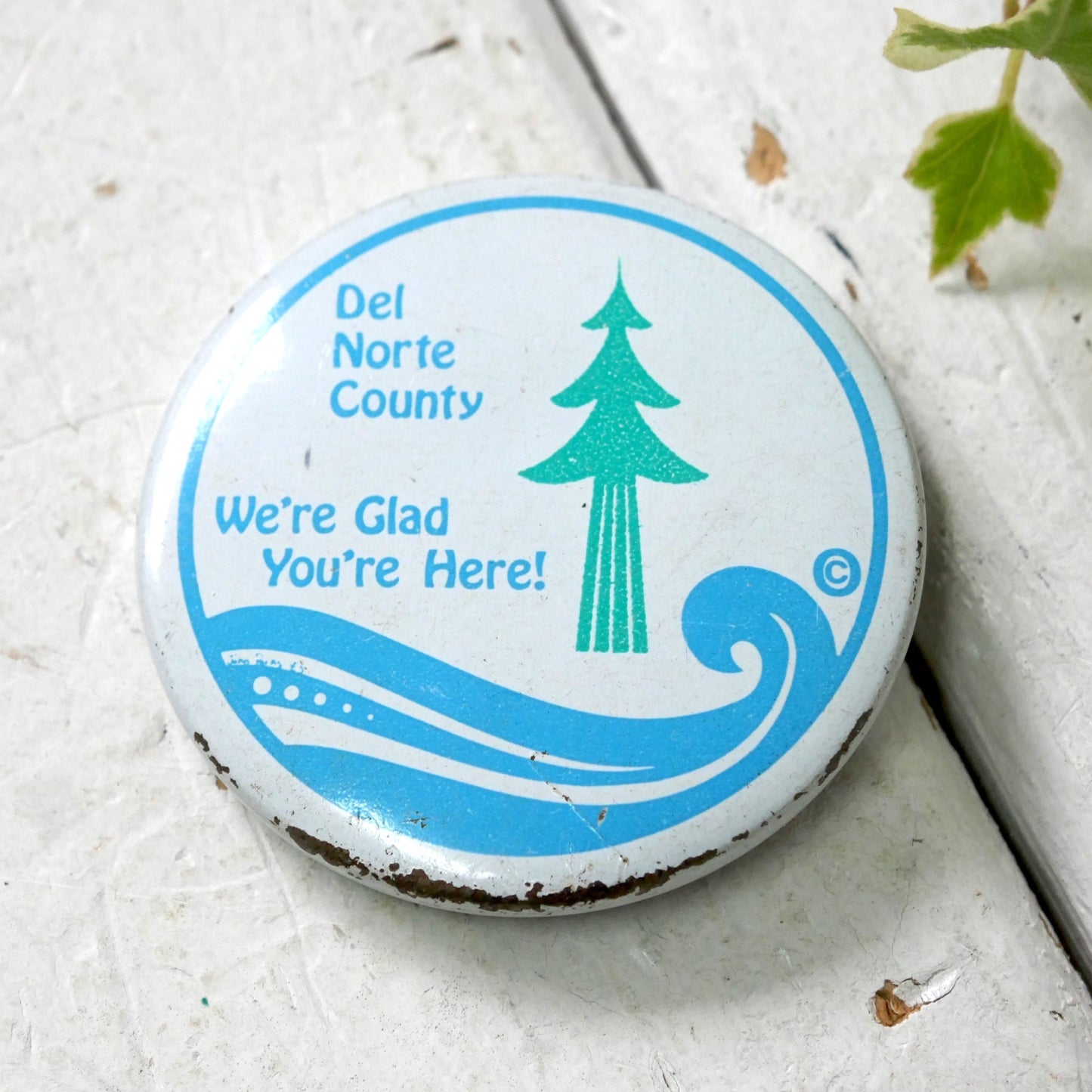 カリフォルニア州 Del Norte Couty We're' Glad  森林 デル・ノルテ郡 アドバタイジング ヴィンテージ　缶バッジ USA