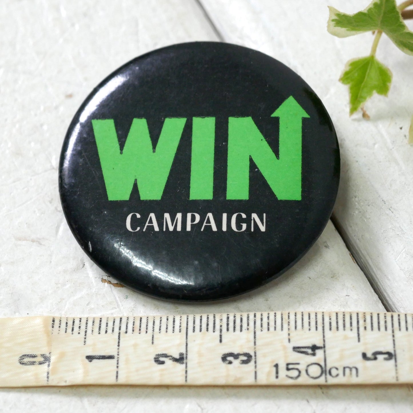 WIN↑CAMPAIGN 勝利 ヴィンテージ　缶バッジ USA