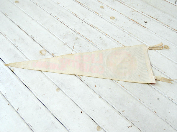 【LION COUNTRY SAFARI】フロリダ州・ライオン・サファリ・ビンテージ・ペナント・旗