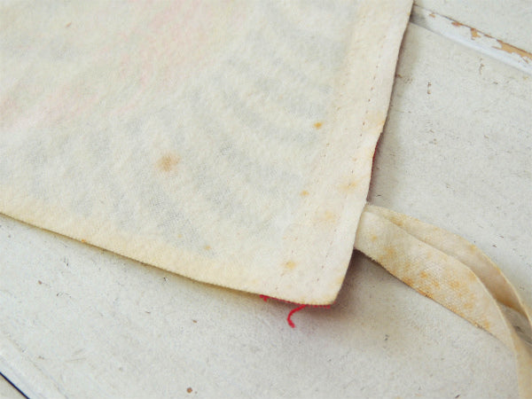 【LION COUNTRY SAFARI】フロリダ州・ライオン・サファリ・ビンテージ・ペナント・旗