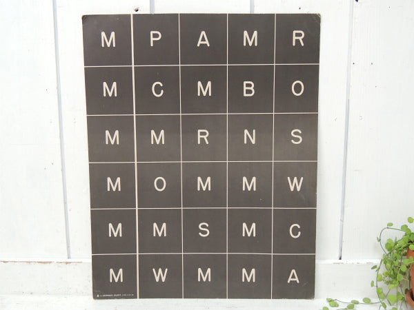 USA!アメリカのお庭・学習用・ヴィンテージ・ポスター/クラシックカー