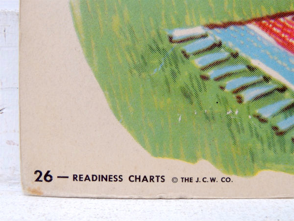 USA!アメリカのお庭・学習用・ヴィンテージ・ポスター/クラシックカー