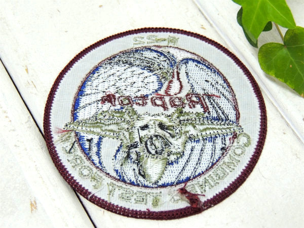 【F-22・ラプター】USA・戦闘機・エアフォース・ミリタリー・刺繍・ワッペン・ステルス機