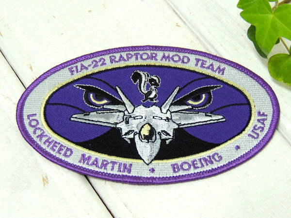 【FLA-22・ラプター】USA・戦闘機・エアフォース・ミリタリー・刺繍・ワッペン・ステルス機