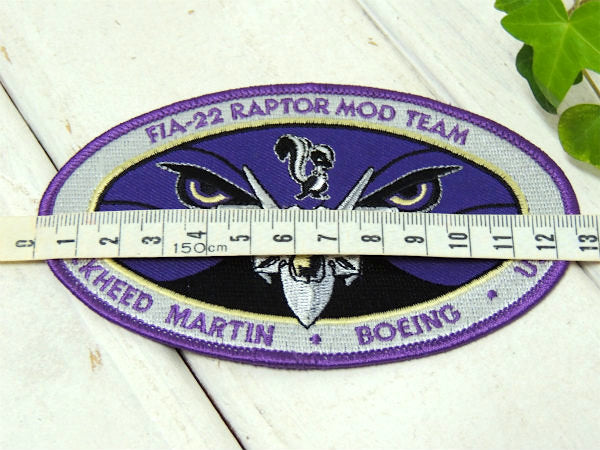 【FLA-22・ラプター】USA・戦闘機・エアフォース・ミリタリー・刺繍・ワッペン・ステルス機