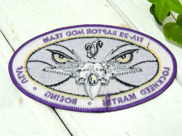 【FLA-22・ラプター】USA・戦闘機・エアフォース・ミリタリー・刺繍・ワッペン・ステルス機
