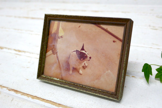 ゴールドフレーム×ガラスパネル・愛犬の可愛い写真付き・ヴィンテージ・卓上フォトフレーム・写真立て