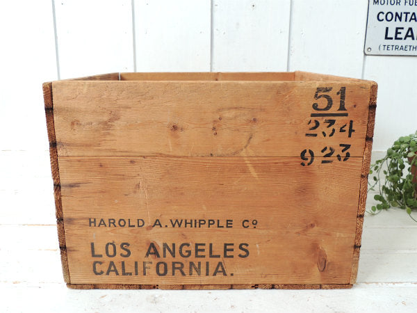 【BENMORE】CALIFORNIA・スコッチ・ウイスキー・ヴィンテージ・ウッドボックス・木箱