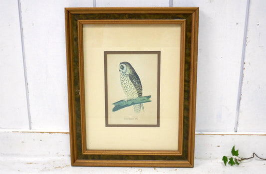 【JCペニー】木製フレーム入り・フクロウ・ヴィンテージ・ウォールアート・壁飾り・ウォールデコ・アート