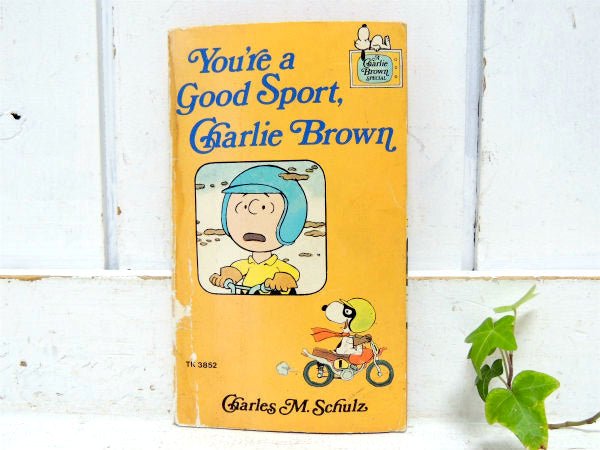 【チャーリーブラウン】スヌーピー&ピーナッツの仲間たち・1976年・ビンテージ・コミック/マンガ