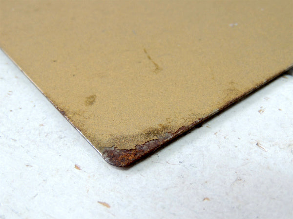 STEWART'S カリフォルニア 薬局 小児科 病院 アドバタイジング ヴィンテージ バインダー