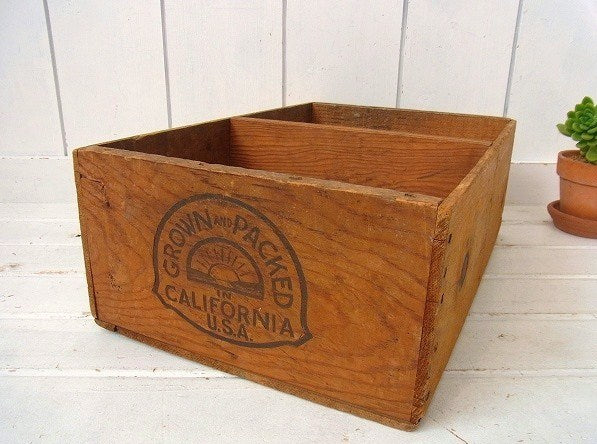 カリフォルニア・レーズンの仕切り付き・木製・ヴィンテージ・ウッドボックス/木箱 USA